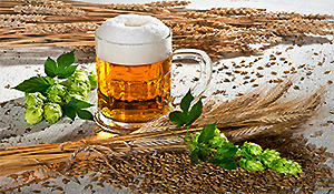 Beer and Grains