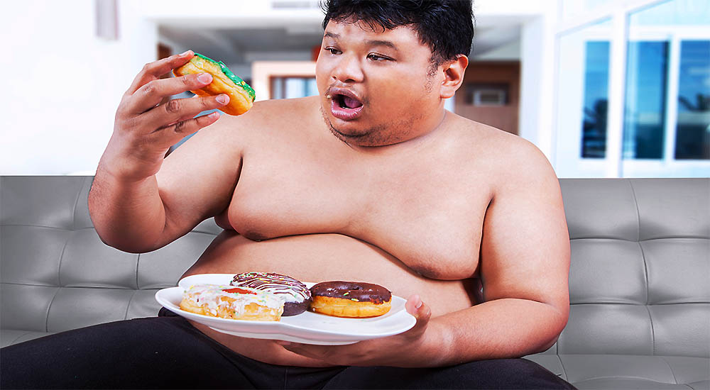 Does Fat Make You Fat What Really Causes Obesity