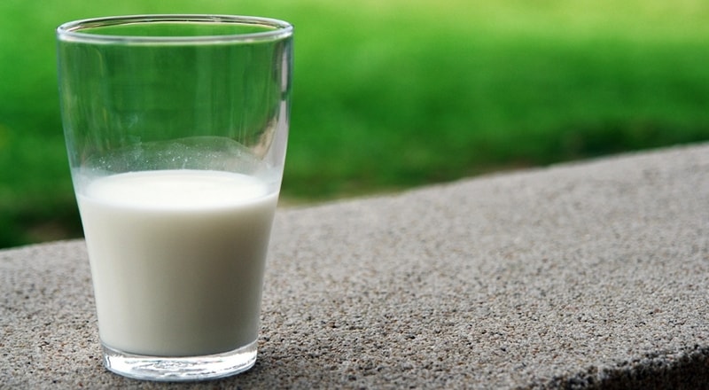Does Milk Cause Heart Disease