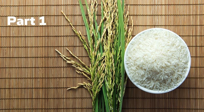 Is Arsenic in Rice a Real Problem Part 1