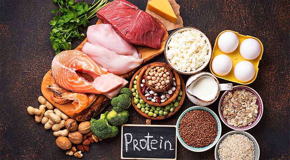 Paleo Beware! Is a High-protein diet Healthy Or Hazardous