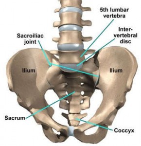 sacroiliac-joint-anatomy_optimized